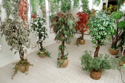 110 Veštačko drveće